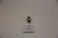 寶石金龜藏品圖，第1張