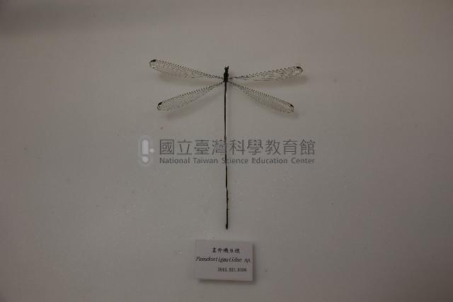 直升機豆娘藏品圖，第1張