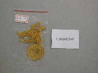台北市第1屆中等以上學校運動大會-冠軍獎牌藏品圖，第1張