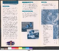 國立體育學院運動保健學系-簡介藏品圖，第2張