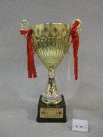 民國101年大專校院101學年度籃球運動聯賽-公開男生組第二級第二區決賽-第一名獎盃藏品圖，第1張