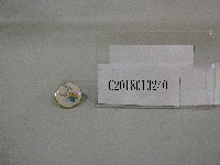 國立體育大學三十週年校慶-徽章紀念品藏品圖，第1張