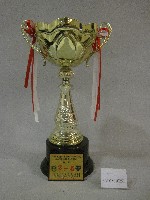 民國104年大專校院103學年度棒球運動聯賽公開組-第一名獎盃藏品圖，第1張