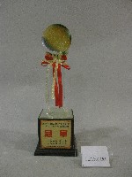 民國100年全國大專校院運動會-公開男生組羽球團體錦標-冠軍獎盃藏品圖，第1張