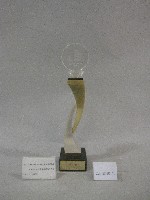 2012年全國大專校院運動會-公開女生田徑團體錦標-冠軍獎盃藏品圖，第1張