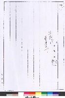 簽正式成立國立體育學院籌備處-75年9月1日簽文2-公文(影本)藏品圖，第1張