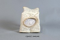 格鬥用護手套藏品圖，第1張