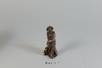 造型象棋-砲藏品圖，第1張