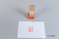 校務印章-國立體育學院中正體育園區管理委員會（木刻小方章）藏品圖，第1張