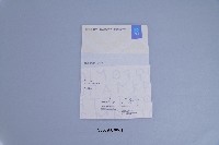 陳詩園_2004年雅典奧運個人第7名藏品圖，第1張
