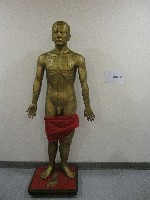 銅製人體穴道模型藏品圖，第1張