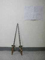 雙鋼鞭藏品圖，第1張