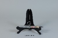 峨嵋刺藏品圖，第1張