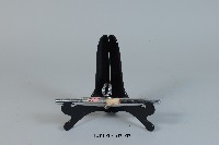 峨嵋刺藏品圖，第1張