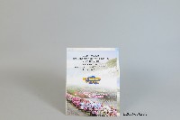 國立體育學院二十週年校慶慶祝大會暨名譽博士學位頒授典禮程序單與禮冊藏品圖，第1張