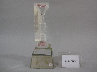 民國93年全國大專校院運動會-女子甲組網球團體錦標-亞軍獎盃藏品圖，第1張