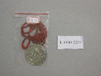 雲林縣第16屆全縣運動大會-銅牌藏品圖，第1張