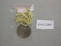 國立台灣藝術專科學校第5屆運動大會-第3名獎牌藏品圖，第1張