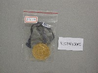 北港鎮第7屆全鎮運動大會-第1名獎牌藏品圖，第1張