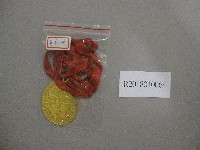 國立台灣藝術專科學校第6屆運動大會-第1名獎牌藏品圖，第1張