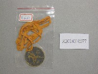 師大XXI1967第1名獎牌藏品圖，第1張