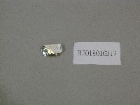 徽章紀念品-中華人民共和國武術協會贈藏品圖，第1張