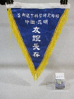 小錦旗紀念品-中國雲南體育科學研究所贈藏品圖，第1張