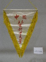 小錦旗紀念品-中國北京體育大學贈藏品圖，第1張