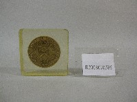 老鷹圖-紙鎮紀念品-韓國延世大學贈藏品圖，第1張