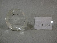 雙馬圖-透明紙鎮紀念品-韓國忠南大學贈藏品圖，第1張