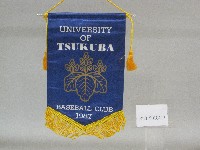 小錦旗紀念品-日本筑波大學贈藏品圖，第1張