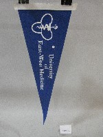 三角旗紀念品-美國國際醫藥大學贈藏品圖，第1張