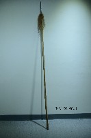 長槍藏品圖，第1張
