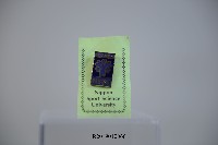日本體育大學紀念徽章藏品圖，第1張