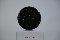 哈爾濱體育學院紀念品藏品圖，第1張