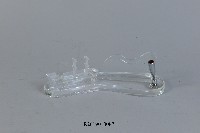 香港職業訓練局贈名片紙鎮藏品圖，第1張