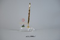 泰國詩納卡寧威洛大學體育學院筆座紀念品（附筆）藏品圖，第1張