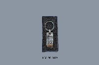 廣州體育學院紀念鑰匙圈藏品圖，第1張