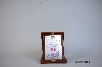 2002年港臺學界柔道交流紀念牌藏品圖，第1張