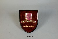 香港中文大學致贈紀念牌藏品圖，第1張