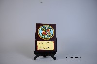 健康體能促進研討會紀念牌藏品圖，第1張