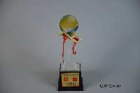 100年全國大專校院運動會公開女生組羽球團體錦標亞軍藏品圖，第1張