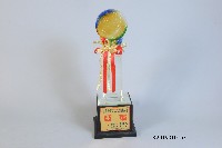 100年全國大專校院運動會公開男生組田徑團體錦標亞軍藏品圖，第1張