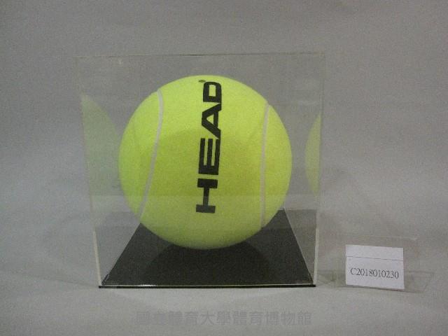 網球球王簽名網球模型(裝框)：納達爾、費雷爾簽名藏品圖，第1張