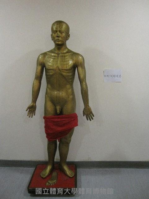 銅製人體穴道模型藏品圖，第1張