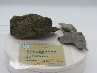 矽化安山岩與矽化砂岩藏品圖，第1張