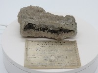 明礬石(白)與硫砷銅礦(黑)藏品圖，第1張