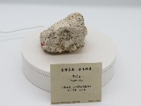 偉晶岩藏品圖，第1張