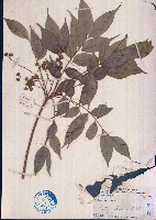 山漆藏品圖，第1張