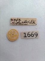 螟蛾藏品圖，第2張